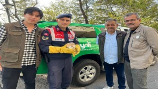 Yaralı baykuşa jandarma şefkati