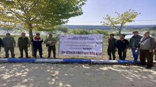 Yaralı bulunan leylek tedavisinin ardından doğaya salındı