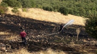 Yayladerede otluk alanda çıkan yangın söndürüldü