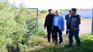 Yeşilyurt Beylerderesi Şehir Parkı yeşillenecek