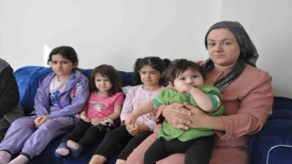Yunanistanda hapse atılan gurbetçi aile yardım bekliyor