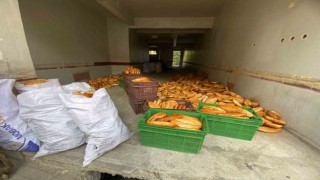 Yüzlerce ekmek kullanılmayan binaya atılmıştı, ekipler inceleme başlattı