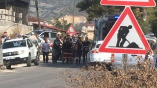 Zeytin hasadı yaparken arıların saldırdığı şahıs hayatını kaybetti