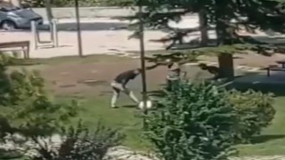 1 kişinin öldüğü olaya ilişkin davada 5 kişiye ceza verildi