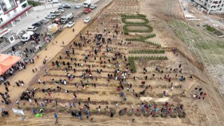 100. Yıl Cumhuriyet Hatıra Ormanına 2023 adet fidan dikildi