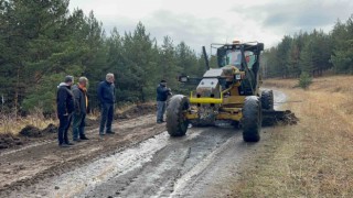 2024 Türkiye Ralli Şampiyonası Karstan start alacak