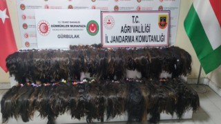 663 bin lira değerinde insan saçı yakalandı