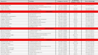 A Milli Futbol Takımının Almanya ve Galler maçları kadrosu belli oldu