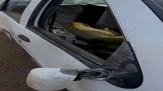 Aç ayı otomobilin camını kırıp içine girdi