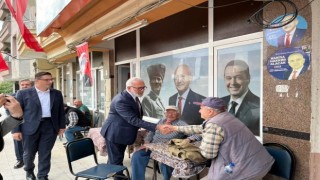 AK Partili Yenişehirlioğlu, Akhisarlı zeytin üreticileri ile buluştu