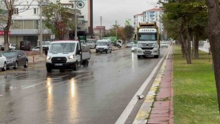 Aksarayda rüzgar yağmurla birlikte etkisini artırdı