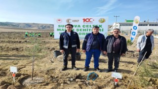 Amasyada Milli Ağaçlandırma Gününde şehit madenciler unutulmadı