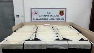 Antalyada 1 milyon kullanımlık bonzai ele geçirildi