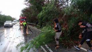 Antalyada fırtına ağaçları devirdi, karayolunda trafik aksadı