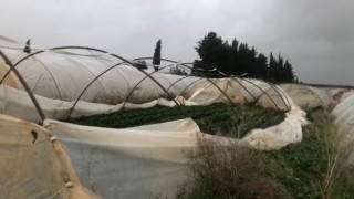 Antalya'da etkili olan yağmur seralara zarar verdi