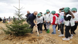 Arnavutköyde binlerce fidan toprakla buluştu