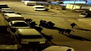 Arnavutköyde miras kavgası sokağı savaş alanına çevirdi