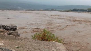 Aşırı yağış sonrası Dipni çayı coştu