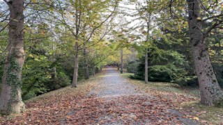Atatürk Arboretumunda kartpostallık manzaralar