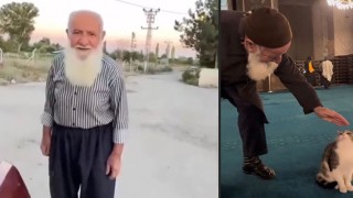 Ayasofya'daki Ahmet amca: “Kediye canım kaynadı sevdim, beni filme almışlar”