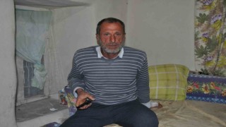 Ayı saldırısından şans eseri yaralı kurtuldu