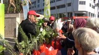 Bafrada 40 bin fidan dağıtıldı