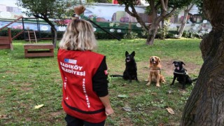 BAK-Kadıköyün yeni üyesi Coco