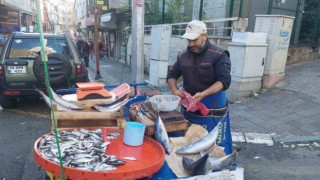 Balıkçının isyanı: 50 liraya sigara içiyorlar, balık yemiyorlar
