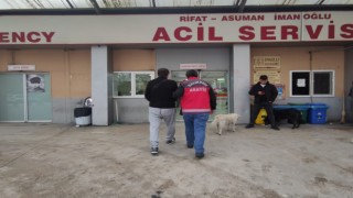 Balıkesir Emniyeti tüm birimleriyle operasyon yaptı
