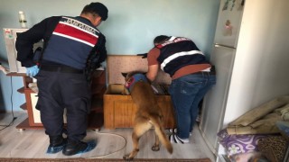 Balıkesirde jandarmadan 358 personelle Huzur operasyonu