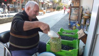 Balıkesirde kırma zeytin hazırlanmasına başlandı