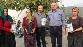 Başkan Savaş, Belenli Çiftçilere Fidan Desteği Verdi