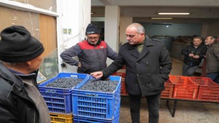 Başkan Sertaslan: “Tarlada izimiz var”