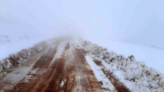 Bingölde 2 bin 500 rakımlı tepe beyaza büründü