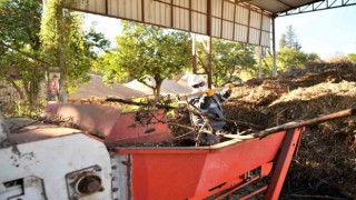 Bitki atıkları vatandaşlar ve çiftçilere yakıt olarak dönecek