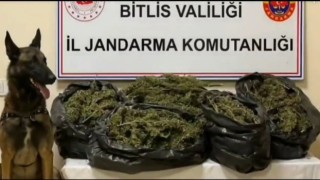 Bitliste 10 kilo 200 gram skunk maddesi ele geçirildi