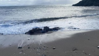 Bodrumda denizde ve sahilde iki ceset bulundu