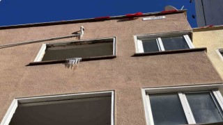 Borudan akan su buz kütlesi oluşturdu
