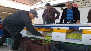 Boylama makinesi zeytin üreticisinin yüzünü güldürüyor