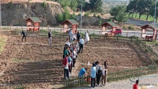 Burhaniye Uygulamalı Bilimler Fakültesinde sebze yetiştirilecek