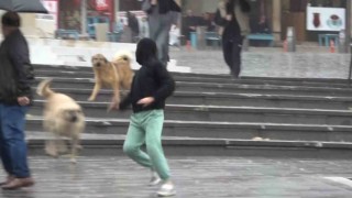 Bursada sağanak yağış etkili oldu, yarın kar geliyor