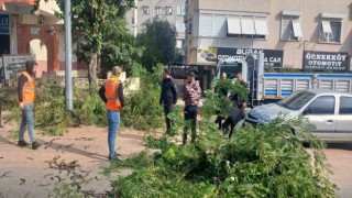 Büyükşehir ekiplerinin fırtına mesaisi