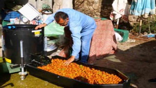 Büyükşehirden Geyikbayırlılara ceviz ayıklama ve salça makinesi