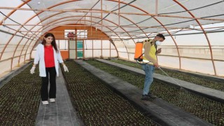Büyükşehirden her mevsim için çiçek