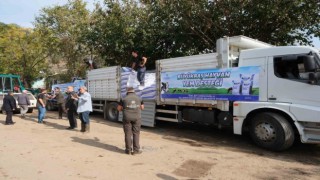 Büyükşehirden sel felaketinden etkilenen üreticiye yem desteği