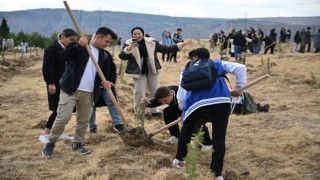 ÇAKÜde fidanlar toprakla buluştu