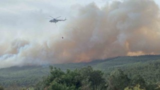 Çanakkalede orman yangını...Bir köy boşaltıldı