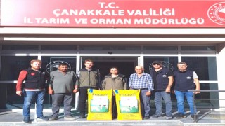 Çanakkalede üreticilere İtalyan çim tohumu dağıtıldı