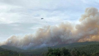 Çanakkaledeki orman yangınında 700 hektarlık alan zarar gördü