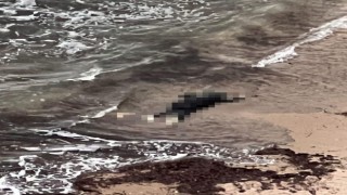 Çeşmede göçmen faciası: 2 ölü